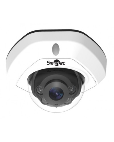 IP-камера видеонаблюдения уличная купольная Smartec STC-IPM3540/1 в Сергиевом Посаде IP-камеры Pintop.ru