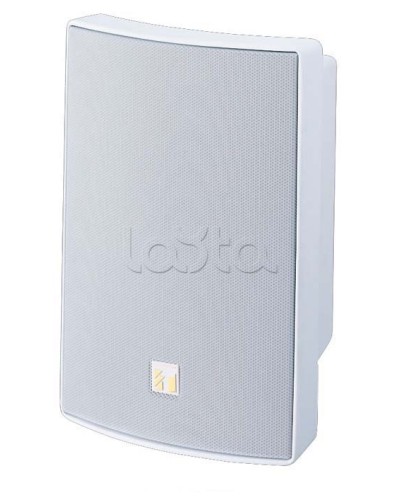 Громкоговоритель универсальный двухполосный TOA BS-1030W в Сергиевом Посаде Системы оповещения и трансляции TOA Pintop.ru