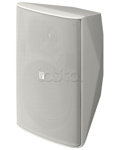 Громкоговоритель 2 полосный TOA F-2000 BTWP в Сергиевом Посаде Системы оповещения и трансляции TOA Pintop.ru