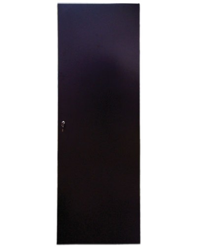 Дверь задняя для шкафов серии Business металл, 47U, ширина 800 мм TWT TWT-CBB-DRM1-47U-8 в Сергиевом Посаде Аксессуары для стоек и шкафов Pintop.ru