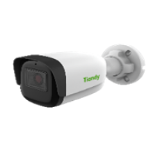 Уличная IP-камера Tiandy TC-C35WS Spec:I5/E/Y/C/H/2.8mm/V4.0