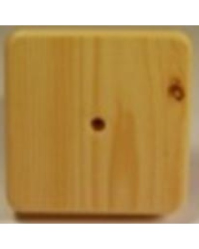 Коробка распаячная, с винтом, 100x100x20 (50 шт/уп) ПожТехКабель 030-009 в Сергиевом Посаде Распределительные коробки Pintop.ru