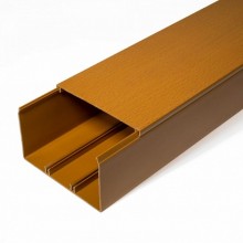 Кабель-канал бук 2-й замок в п/э 100х60 (8 м/уп) Промрукав (PR03.0207)