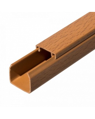 Кабель-канал бук 2-й замок в п/э 25х25 (32 м/уп) Промрукав (PR03.0198) в Сергиевом Посаде Огнестойкие кабельные линии Pintop.ru