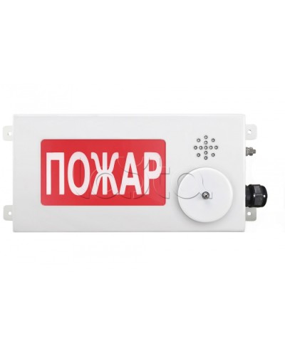 Табло светозвуковое взрывозащищенное Спектрон ТСЗВ-Exi-М-Прометей-МИНИ 12-36В в Сергиевом Посаде Оповещатели Ex Pintop.ru