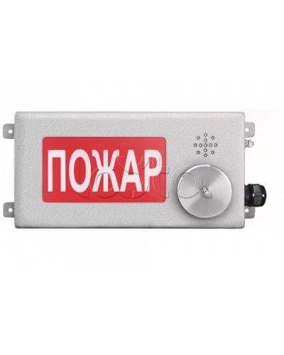 Табло светозвуковое взрывозащищенное Спектрон ТСЗВ-Exm-Н-Прометей-МИНИ 12-36В в Сергиевом Посаде Оповещатели Ex Pintop.ru