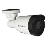 IP-видеокамера в стандартном исполнении уличная Tantos Tsi-Pe25FPN